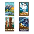 Travel America National Park Cutouts Online Hot Sale