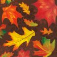 Fall Leaves - Luncheon Napkins   2 Ply   16 Count Supply