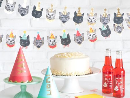 Cat Party Banner Supply