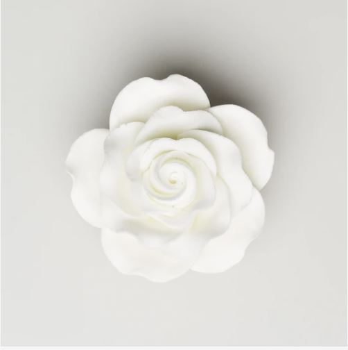 Gum Paste Queen Rose | 1 CT Online now