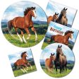 Horse Party Beverage Napkins Online Sale