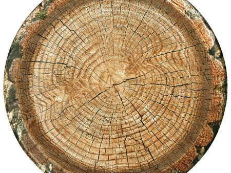 Rustic Cut Timber 7  Salad Plates  8 Count Discount