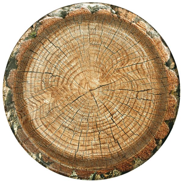 Rustic Cut Timber 7  Salad Plates  8 Count Discount