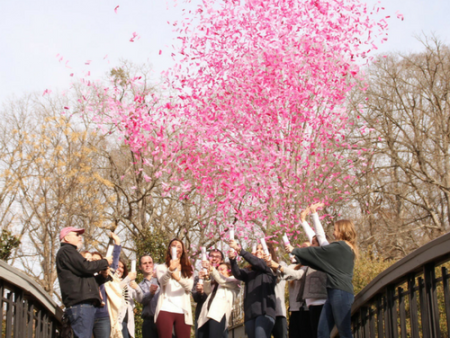 Gender Reveal Confetti Girl Popper Sale