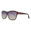 Ladies Sunglasses Swarovski SK0079F-6250W (Ø 62 mm) Online Sale