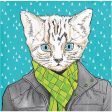 Dapper Cat Napkins - 24 Count Online Hot Sale