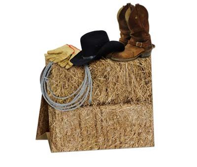 Western Centerpiece - 3-D - 9.5 in. Discount