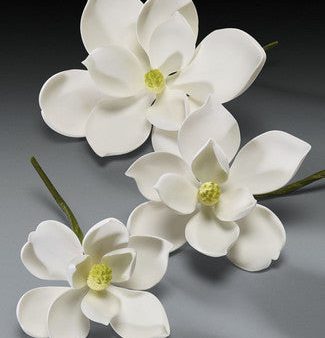 Gum Paste Flowers - Cake Topper - Magnolia 3 Piece For Cheap