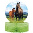 Horse Party Centerpiece Discount