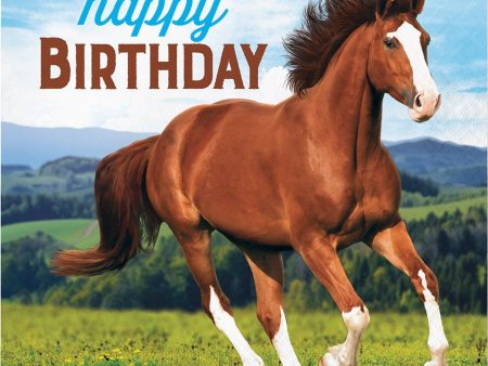 Horse Party Birthday Napkins Online