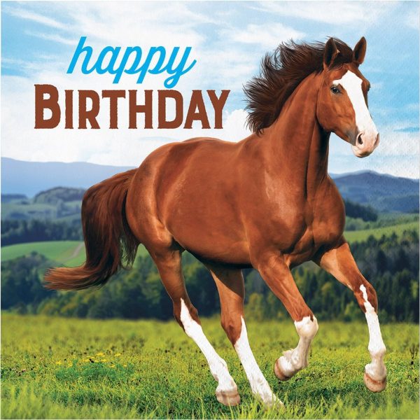 Horse Party Birthday Napkins Online