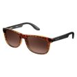 Sunglasses Carrera Brown (ø 49 mm) For Discount