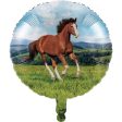 Horse Party Balloon Online now