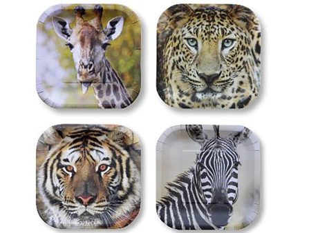 Jungle Safari Small Party Plates Online Sale