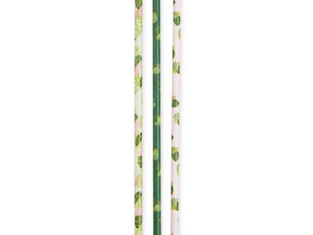 Tropical Leaves Paper Straws  24 Count  3 Designs Supply