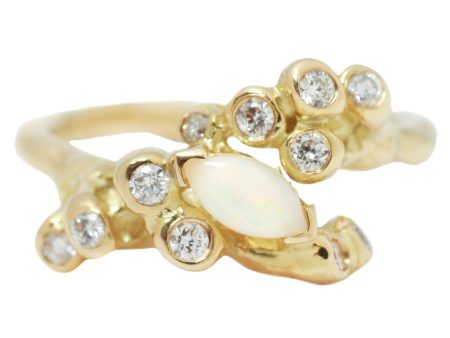 Anemone Opal Cluster Ring For Discount