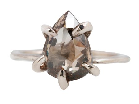 Champagne Contemporary Claw Ring Hot on Sale