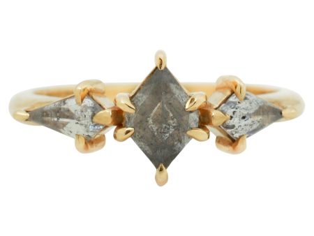 Valois Three Diamond Ring Fashion